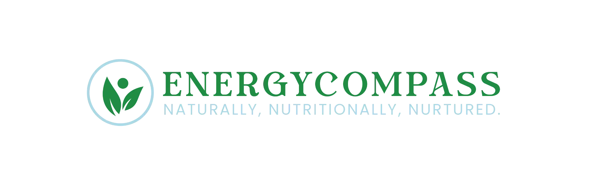 Energy Compass — Shilpa Patel Functional Nutrition